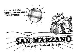 TRUE ROMA 100% SUNDRIED TOMATOES SAN MARZANO POMODORE ESSICATI AL SOLE logo