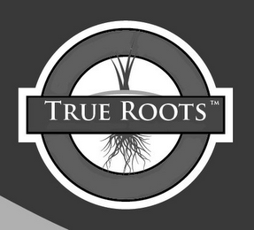 TRUE ROOTS logo