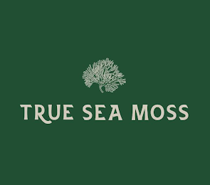 TRUE SEA MOSS logo