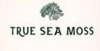 TRUE SEA MOSS logo