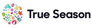 TRUE SEASON logo