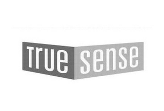 TRUE SENSE logo