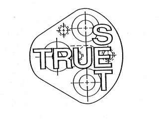 TRUE SET logo