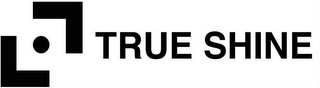 TRUE SHINE logo