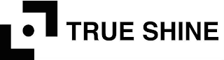 TRUE SHINE logo