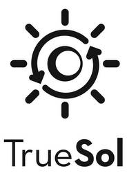 TRUE SOL logo