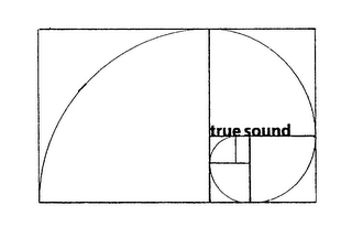 TRUE SOUND logo