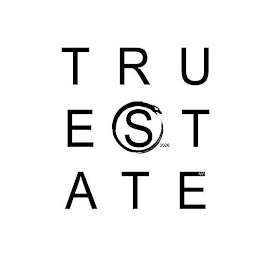 TRUE STATE 2020 NY logo