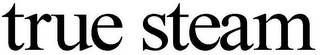 TRUE STEAM logo