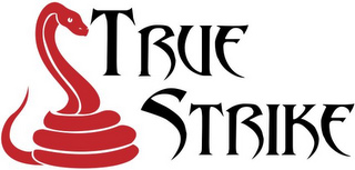 TRUE STRIKE logo