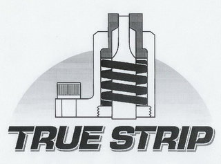 TRUE STRIP logo