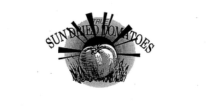 TRUE SUN DRIED TOMATOES logo