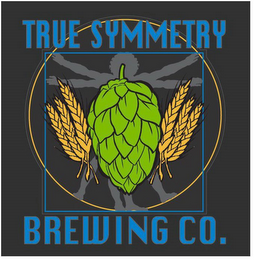 TRUE SYMMETRY BREWING CO. logo