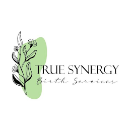TRUE SYNERGY BIRTH SERVICES logo