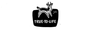 TRUE-TO-LIFE logo