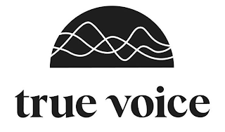 TRUE VOICE logo