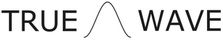 TRUE WAVE logo