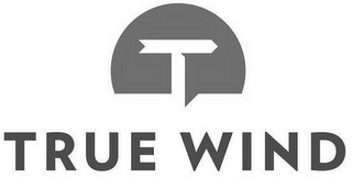 TRUE WIND logo