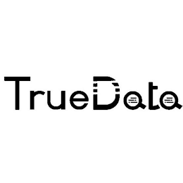 TRUEDATA logo