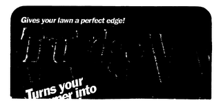 TRUEDGE logo