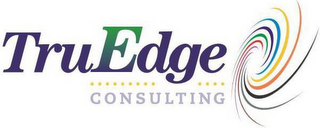 TRUEDGE CONSULTING logo