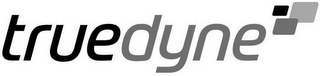 TRUEDYNE logo
