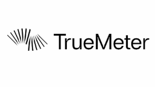 TRUEMETER logo