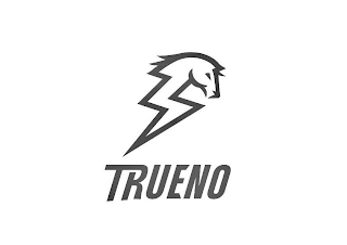 TRUENO logo