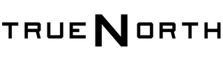 TRUENORTH logo