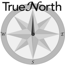 TRUENORTH W S E logo