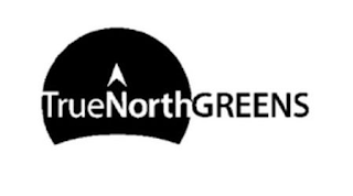 TRUENORTHGREENS logo