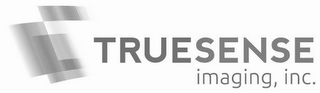 TRUESENSE IMAGING, INC. T logo