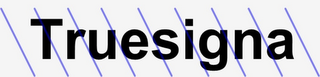 TRUESIGNA logo