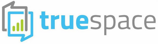 TRUESPACE logo