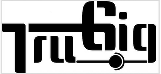 TRUGIG logo