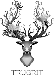 TRUGRIT logo