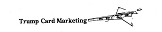 TRUMP CARD MARKETING logo