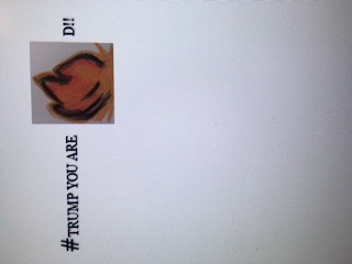 # TRUMP YOU ARE D!! logo