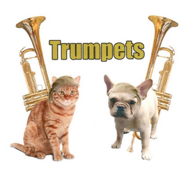 TRUMPETS logo