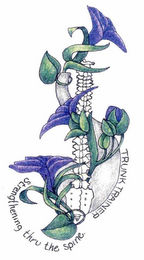 TRUNK TRAINER STRENGTHENING THRU THE SPINE. logo