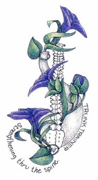 TRUNK TRAINER STRENGTHENING THRU THE SPINE. logo