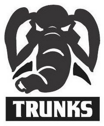 TRUNKS logo