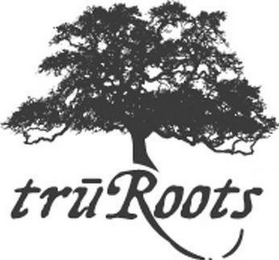 TRUROOTS logo