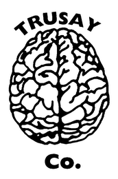 TRUSAY CO. logo