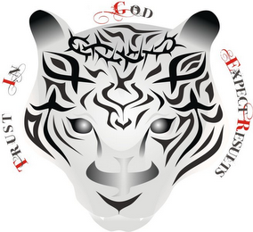 TRUST IN GOD EXPECT RESULTS logo