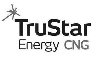 TRUSTAR ENERGY CNG logo