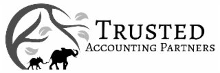 TRUSTED ACCOUNTING PARTNERS logo