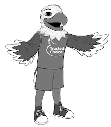 TRUSTED CHOICE logo