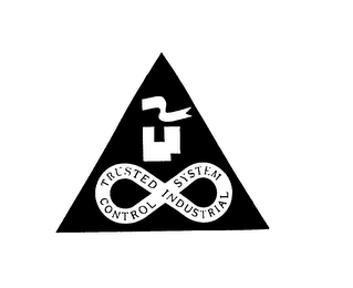 TRUSTED INDUSTRIAL CONTROL SYSTEM logo