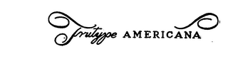 TRUTYPE AMERICANA logo